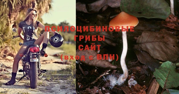 прущий лед Новочеркасск
