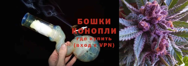 сатива Уссурийск