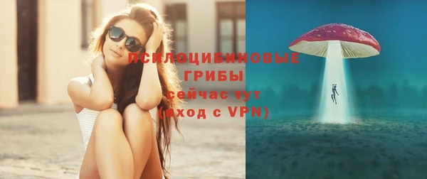 apvp Кинешма
