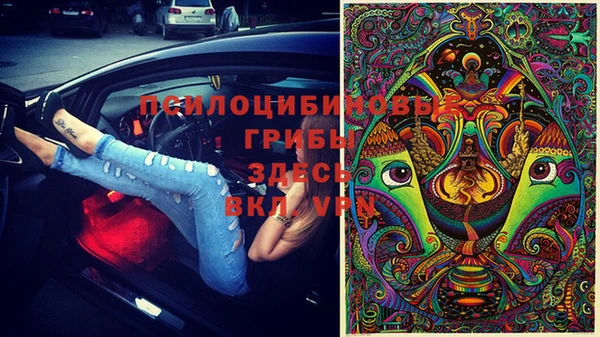 apvp Кинешма