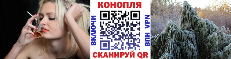 Купить где  Баксан  Каннабис индика 
